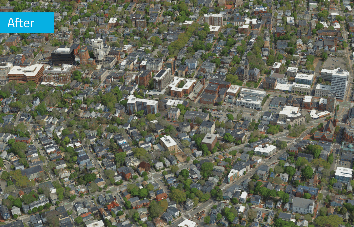 Cambridge_LUT1_labeled.gif